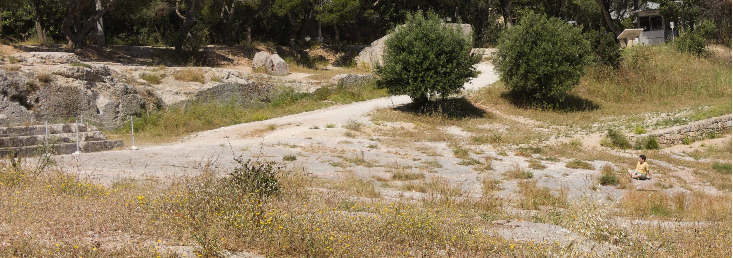 Ich sitze auf dem Pnyx, dem Platz der antiken Volksversammlung in Athen